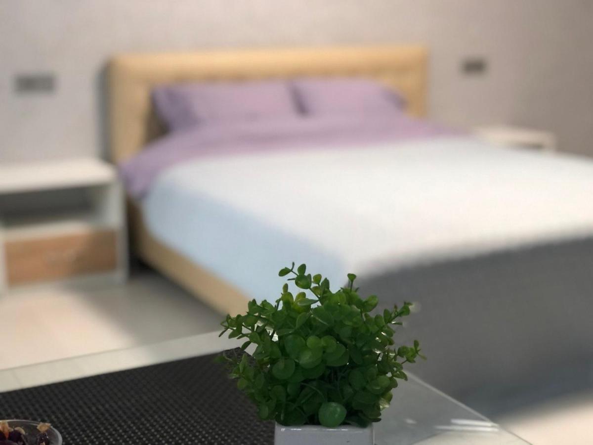 Apartcenter Апартаменты Lux В Центре Ярослава Мудрого クルィヴィーイ・リーフ エクステリア 写真